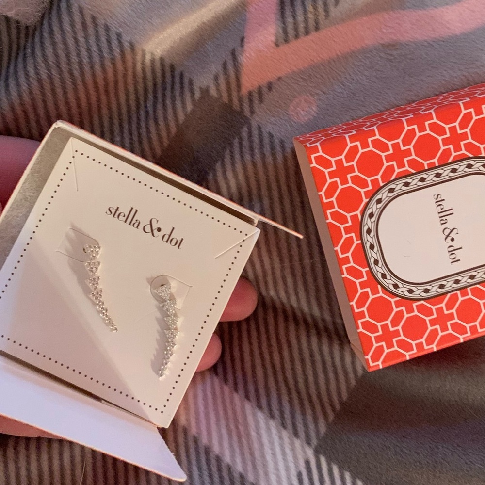 Stella & Dot Earrings